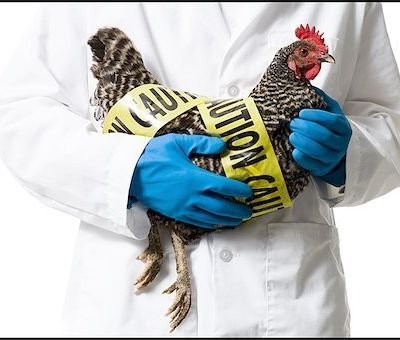 Biosecurity