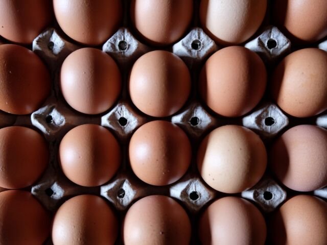 Why does Egg Rate Fluctuate So Much? | Reasons for Egg Rate Fluctuation In India
