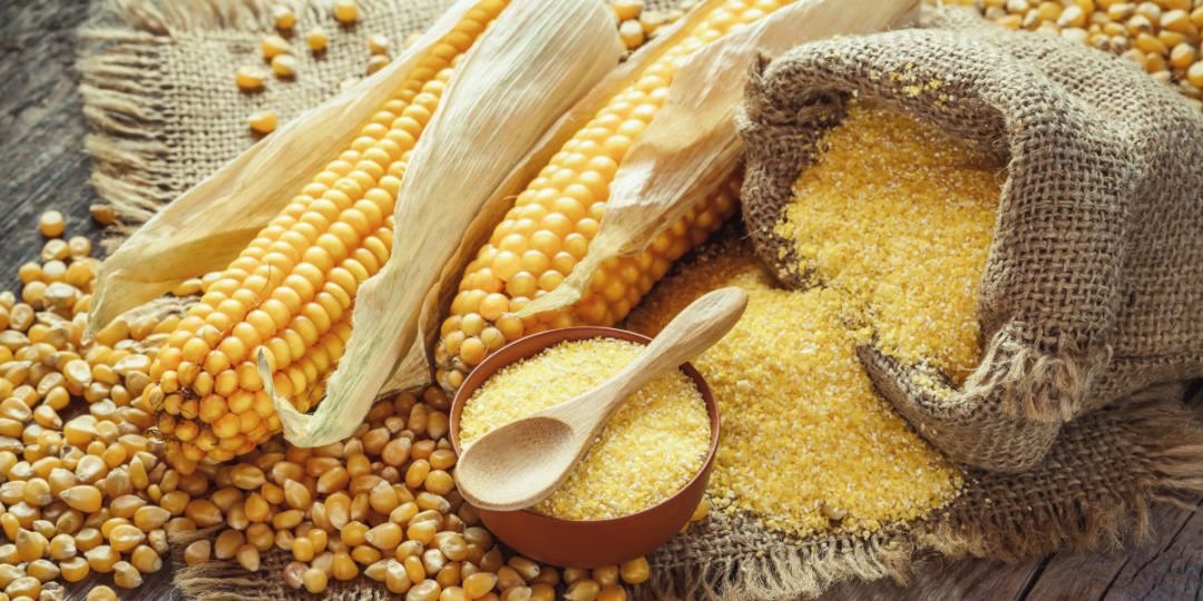 maize