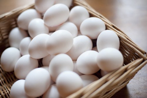 startup is raising awareness about consuming healthy eggs
