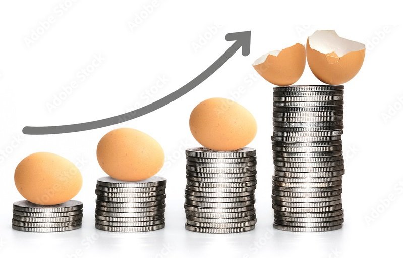 rise in egg and broiler demand
