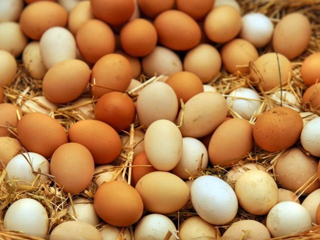 Food Protein Organic Chicken Raw Eggs