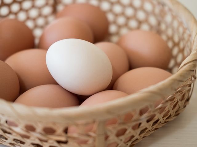 Difference between white and brown eggs